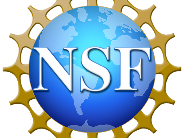 Tiêu chuẩn NSF là gì? vì sao người dùng lại tậu và tiêu dùng sản phẩm NSF?